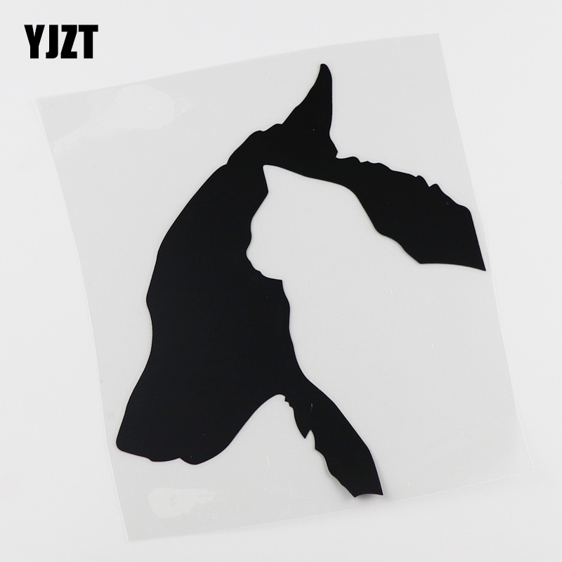 YJZT YJZT 创意猫狗搞笑汽车贴纸 划痕装饰贴 HY3061
