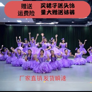 奇妙的惊喜亮片儿童演出服可爱公主裙紫色蓬蓬裙啦啦操幼儿合唱服