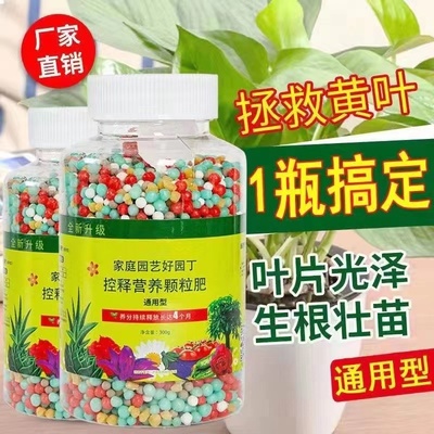 绿叶养花肥料花肥通用型缓释肥颗粒通用型多肉花卉大全家用控释肥