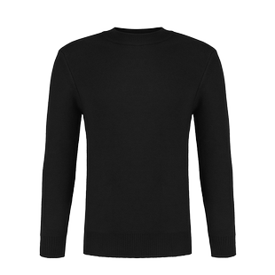 HELLEN&WOODY冬季半高领领男士毛衣一体绒针织衫加绒针织衫打底衫