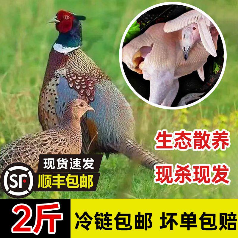 [顺丰包邮]散养七彩山鸡肉2年山鸡土鸡整鸡肉成年大别山月子新鲜
