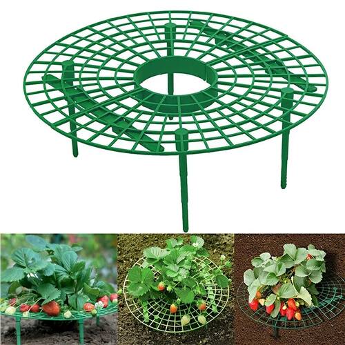 5/10pcs Green Strawberry Planting Rack with 3 Sturdy Stands