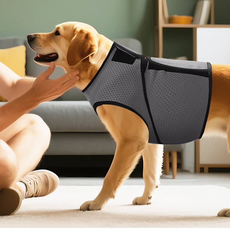跨境新款宠物安抚衣狗狗夏季缓解焦虑背心安抚情绪高弹透气防,宠物/宠物食品及用品,狗宠物服装/雨衣,淘宝优惠券,粉丝福利购,淘宝优惠卷