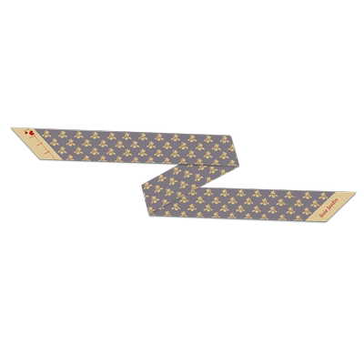 5cmsoie七夕限定款鸢尾花窄丝巾