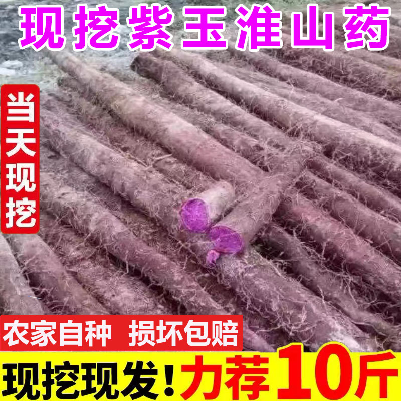 新鲜紫玉淮山紫色山药紫大薯正宗紫山药苗农家种植5斤紫美人包邮
