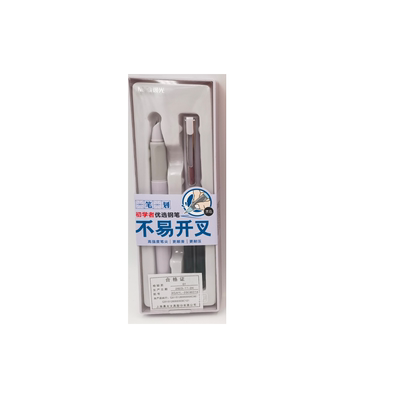 晨光墨囊钢笔书写练字中国