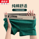 全棉透气平角裤 夏季 女生中腰舒适四角裤 纯棉女士内裤 防走光 薄款