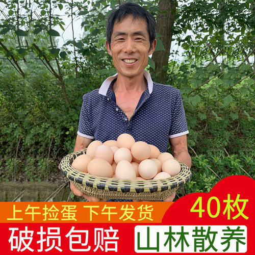 当日正宗散养新鲜40枚农家土鸡蛋