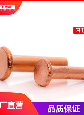 M2M2.5M3M4M5M6*4x5x6x8x10 mm纯铜紫铜大平头扁头铆钉敲击式实心