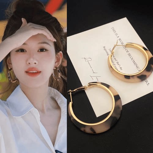 2024新款复古豹纹耳环耳挂设计感