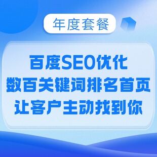 网站SEO优化百度关键词排名搜索引擎网络推广快照收录快速上首页