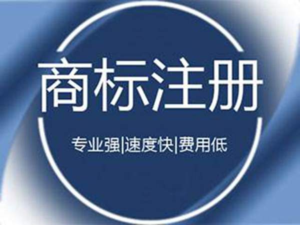商标注册R标申请转让过户续展变更复审logo设计个人公司包代理
