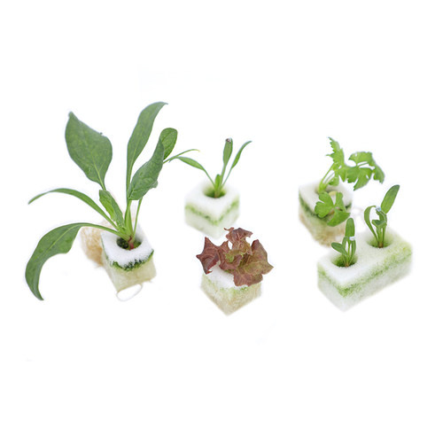 4DBIOS苗植物工厂蔬菜花卉人参