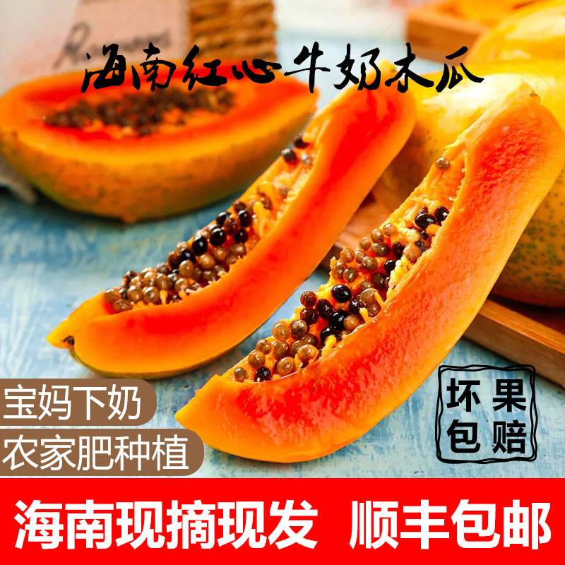 海南红心牛奶青木瓜当季树上自然熟水果新鲜孕妇下奶顺丰5/8斤装