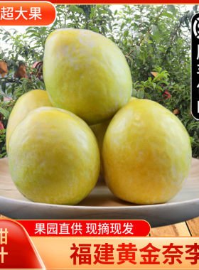 新鲜黄金奈李恐龙蛋脱骨