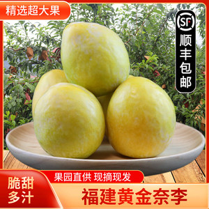 新鲜黄金奈李恐龙蛋脱骨李子油奈黄布林脆甜李当季孕妇水果5斤装
