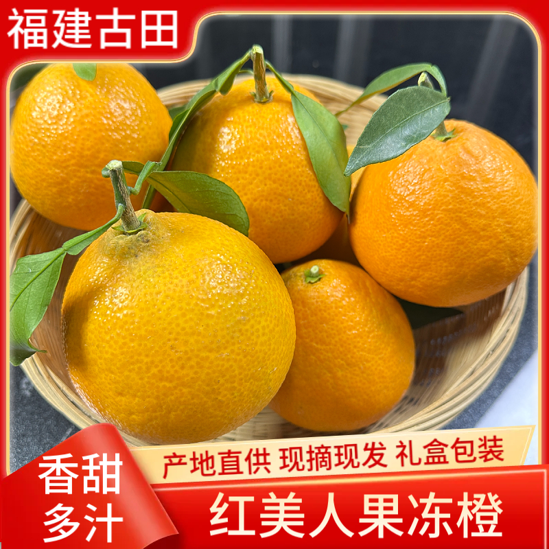 古田红美人果冻橙礼盒装
