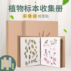 儿童植物标本收集册树叶干花标本册活页卡册覆膜DIY相册四叶草叶子枫叶标本收纳册宝宝自制成长记录册挂袋子