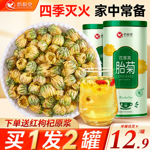 {买1发2罐}桐乡特优级胎菊花正品
