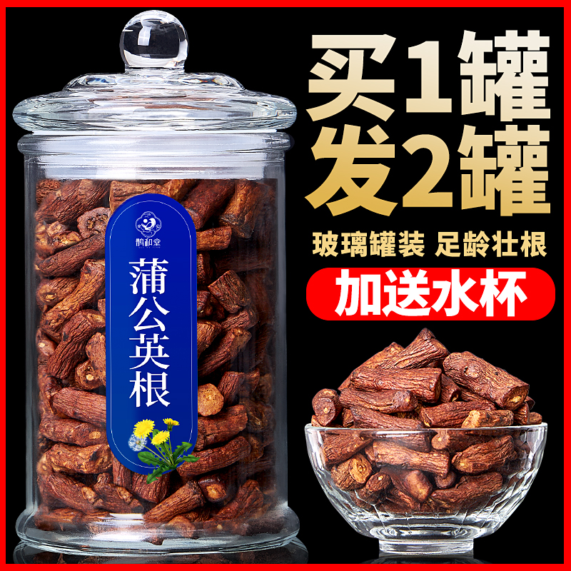 蒲公英根茶叶野生整根长白山蒲公英正品特级天然浦公英干蒲公英根