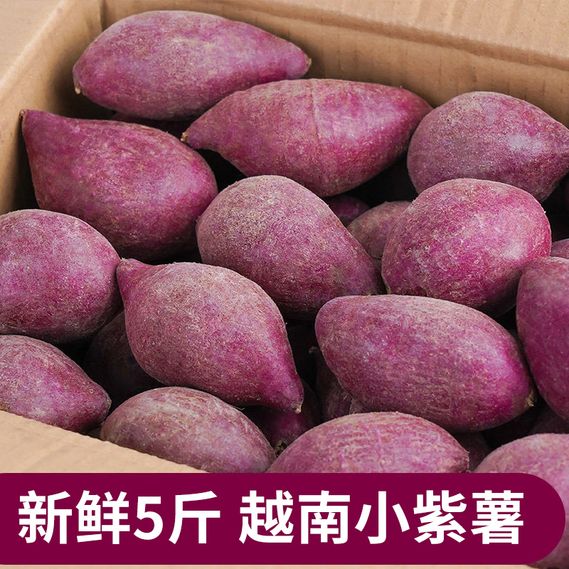 5斤越南小紫薯红薯新鲜农家自种小个番薯非10地瓜小珍珠板栗红薯