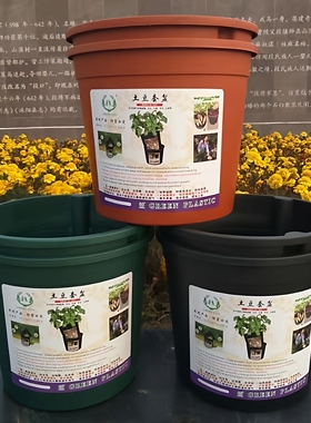 土豆种套植盆生姜蔬菜种植塑料花盆盆栽家庭阳台庭院种植加厚优质