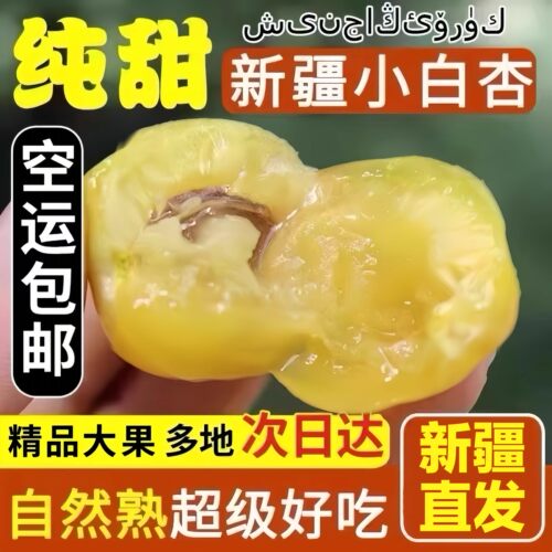 【顺丰空运】新疆小白杏当季水果
