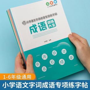 成语近义词反义词多音字重叠词量词描红本小学语文小升初知识字帖