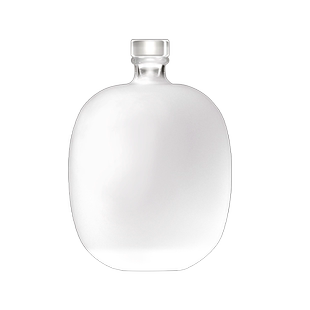 酒瓶玻璃酒壶白酒瓶高档空瓶密封一斤分装大容量高端空瓶子泡酒瓶