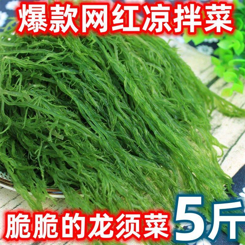批发龙须菜盐渍新鲜海草海藻丝菜海带
