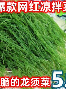 批发龙须菜盐渍新鲜海草海藻丝菜凉菜凉拌菜商用麻辣烫火锅食材
