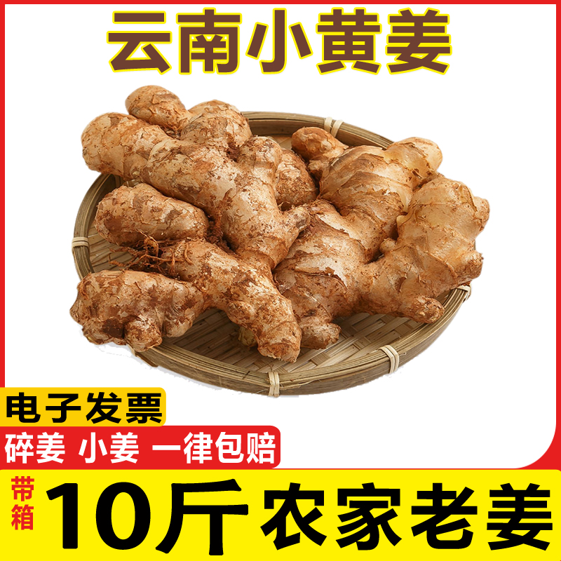 云南小黄姜10斤生姜土姜罗平山地