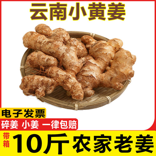 云南小黄姜10斤生姜土姜罗平山地