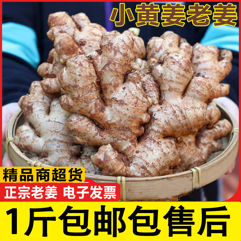 云南小黄姜新鲜蔬菜10斤 现挖农家生姜老姜嫩姜沙姜月子姜包邮5