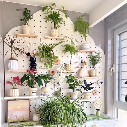 阳台洞洞板绿植墙花架