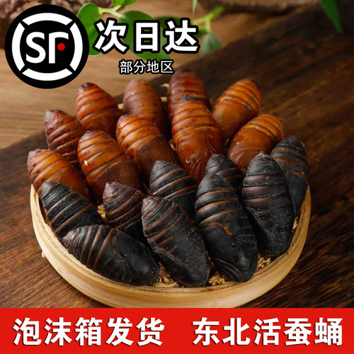 新鲜活黑黄蚕蛹东北茧蛹500gA级