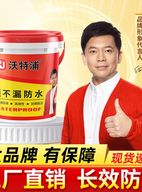沃特浦顶不漏防水涂料屋顶裂缝渗水补漏材料外墙房顶专用防漏胶王