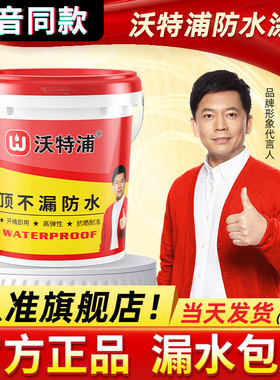 沃特浦顶不漏防水涂料屋顶防水胶补漏裂缝渗水房顶专用防漏材料王