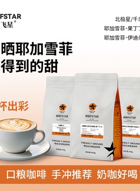 银汉飞星 耶加雪菲SOE 精品意式埃塞俄比亚G1手冲咖啡豆 /粉454g