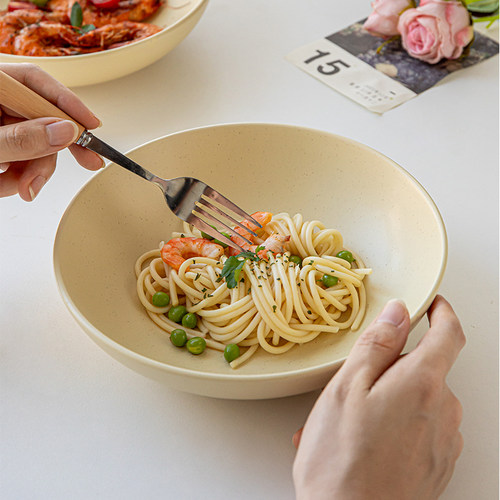 芦苇家用陶瓷菜碗意面碗餐厅小众