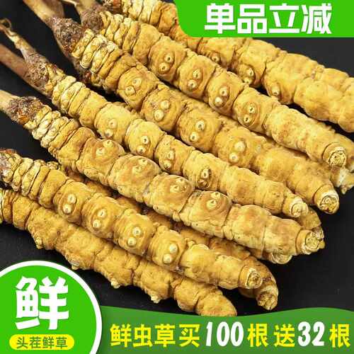 冬虫夏草虫草官方旗舰店