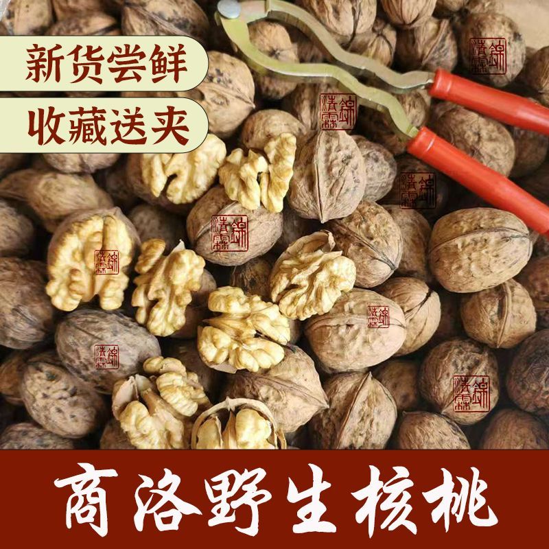 2026年商洛新核桃干货老品种厚皮核桃陕西秦岭野生核桃零食特产