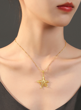 adhora海洋系列镂空海星项链女简约气质锁骨链2024新款颈链送女友