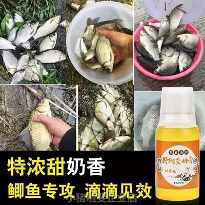 诱鱼奶香小药猪奶香母乳鲤鱼打窝鲫鱼通用饵料黑坑淡水四季野钓蛋