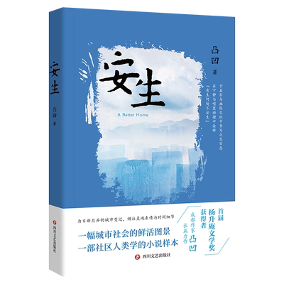 安生中国当代长篇文学小说