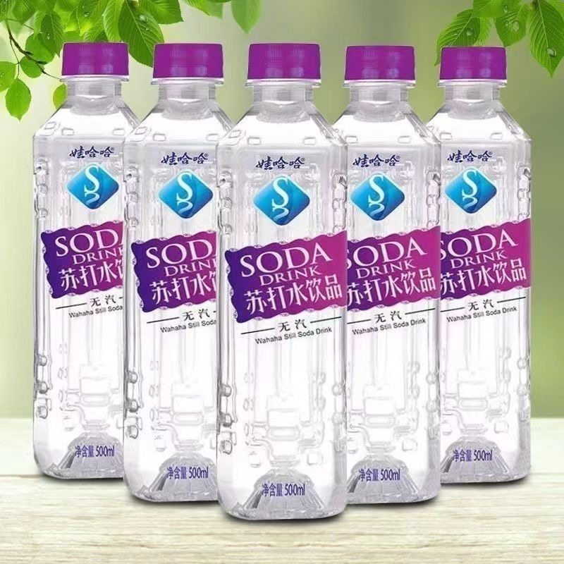 娃哈哈苏打水500ml*12瓶原味薄荷味-TJB,咖啡/麦片/冲饮,苏打水,淘宝优惠券,粉丝福利购,淘宝优惠卷