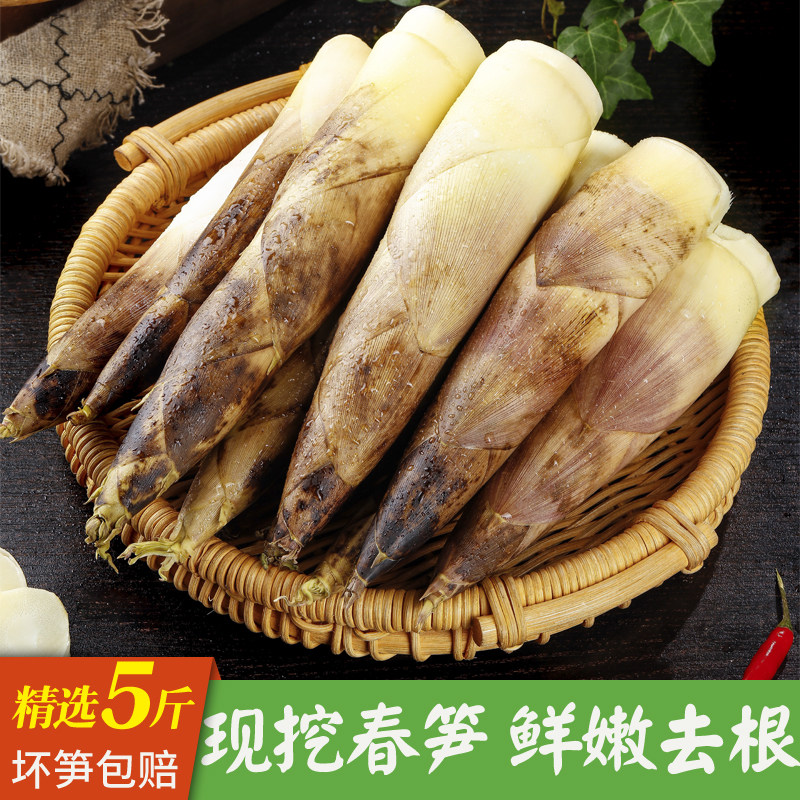 雷笋新鲜春笋现挖竹笋5斤装临安天目山腌笃鲜油焖笋时令蔬菜浙江