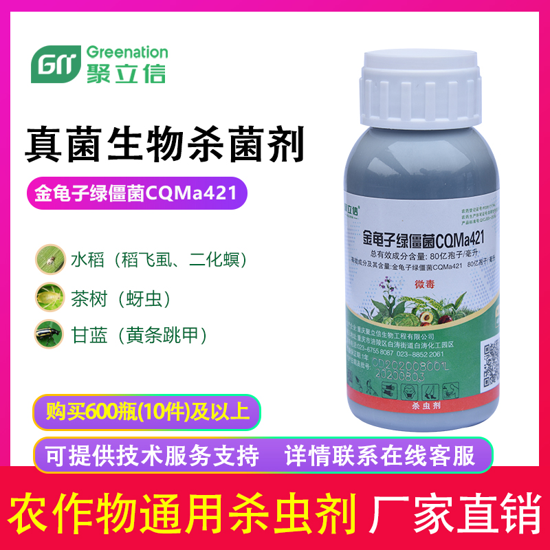 80亿绿僵菌cqma421稻飞虱杀虫剂