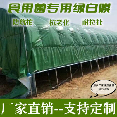 抗老化大棚膜透光消雾po长寿无滴