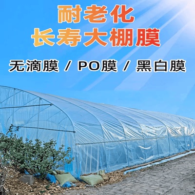 大棚膜无滴膜黑白膜水晶PO膜绿白膜围裙膜围边膜压边穿绳大棚二膜